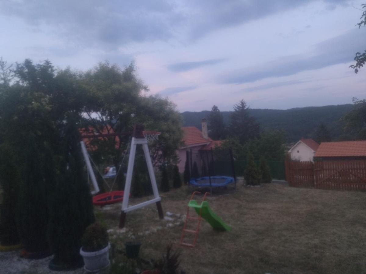 Bor, Savaca - Porodicna Vikendica Za Izdavanje Exterior foto