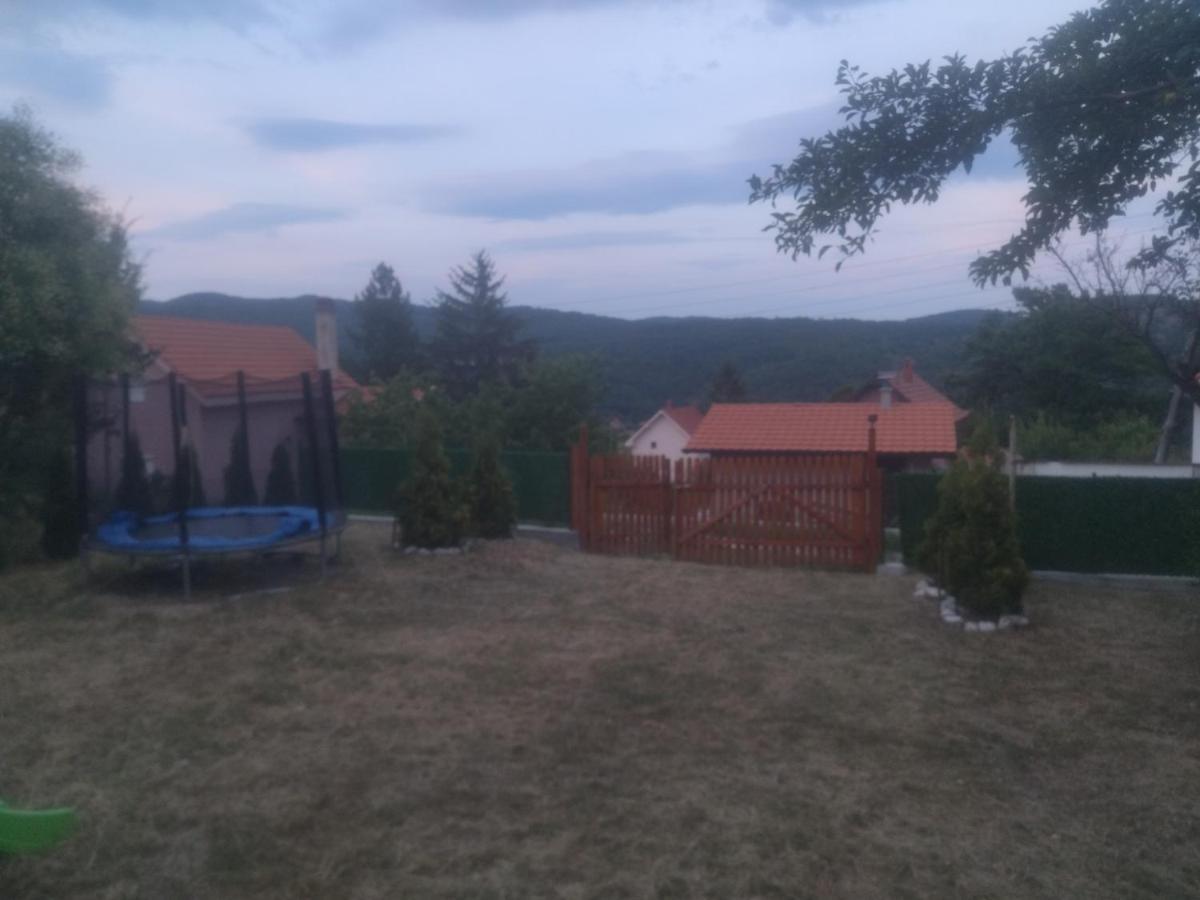Bor, Savaca - Porodicna Vikendica Za Izdavanje Exterior foto